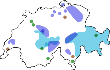 big swiss map